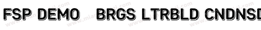 FSP DEMO   Brgs ltrBld Cndnsd Itali字体转换